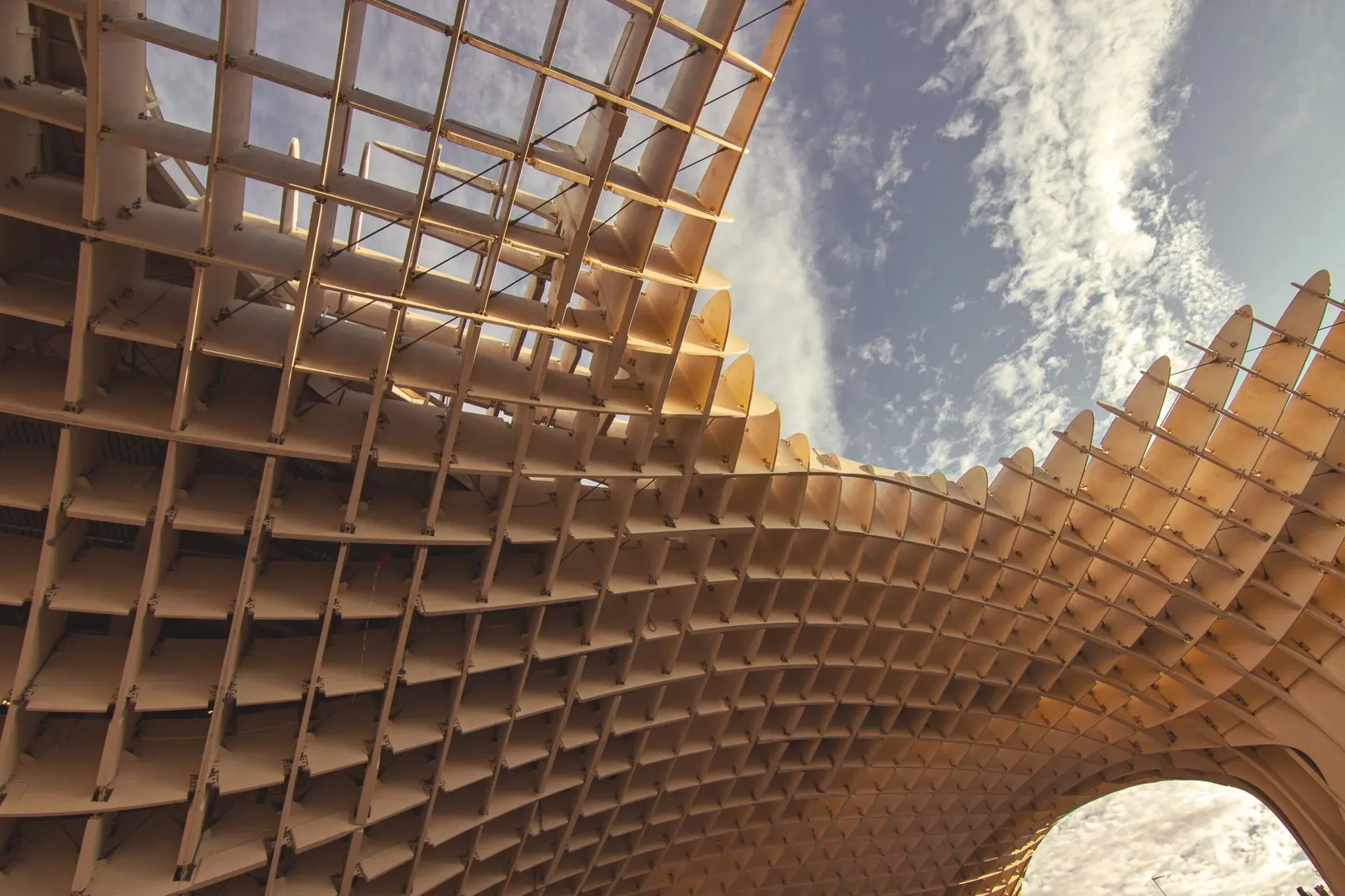 Sculptural timber lattice roof of an Elara pavilion sweeping against the sky