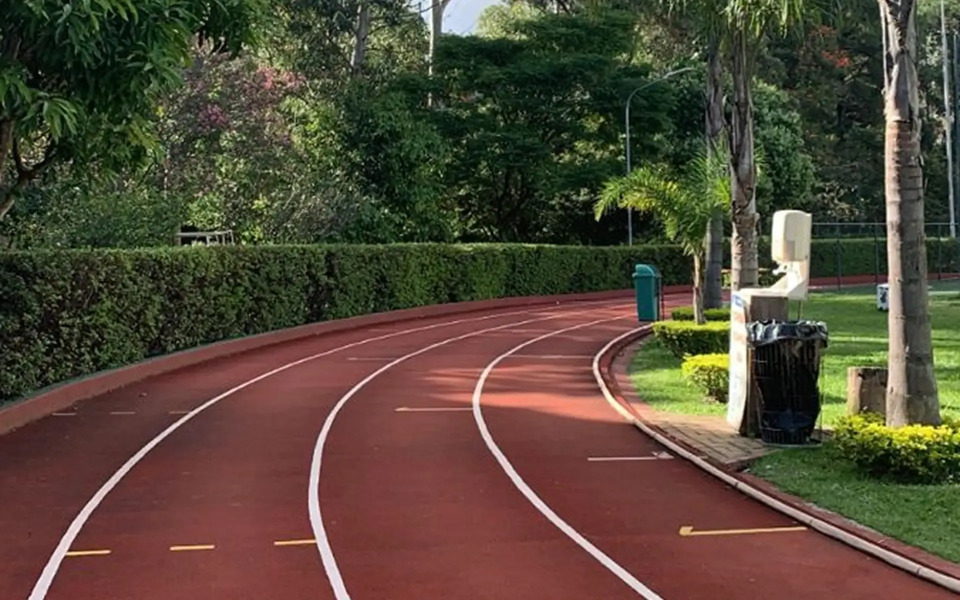 The forest jogging track