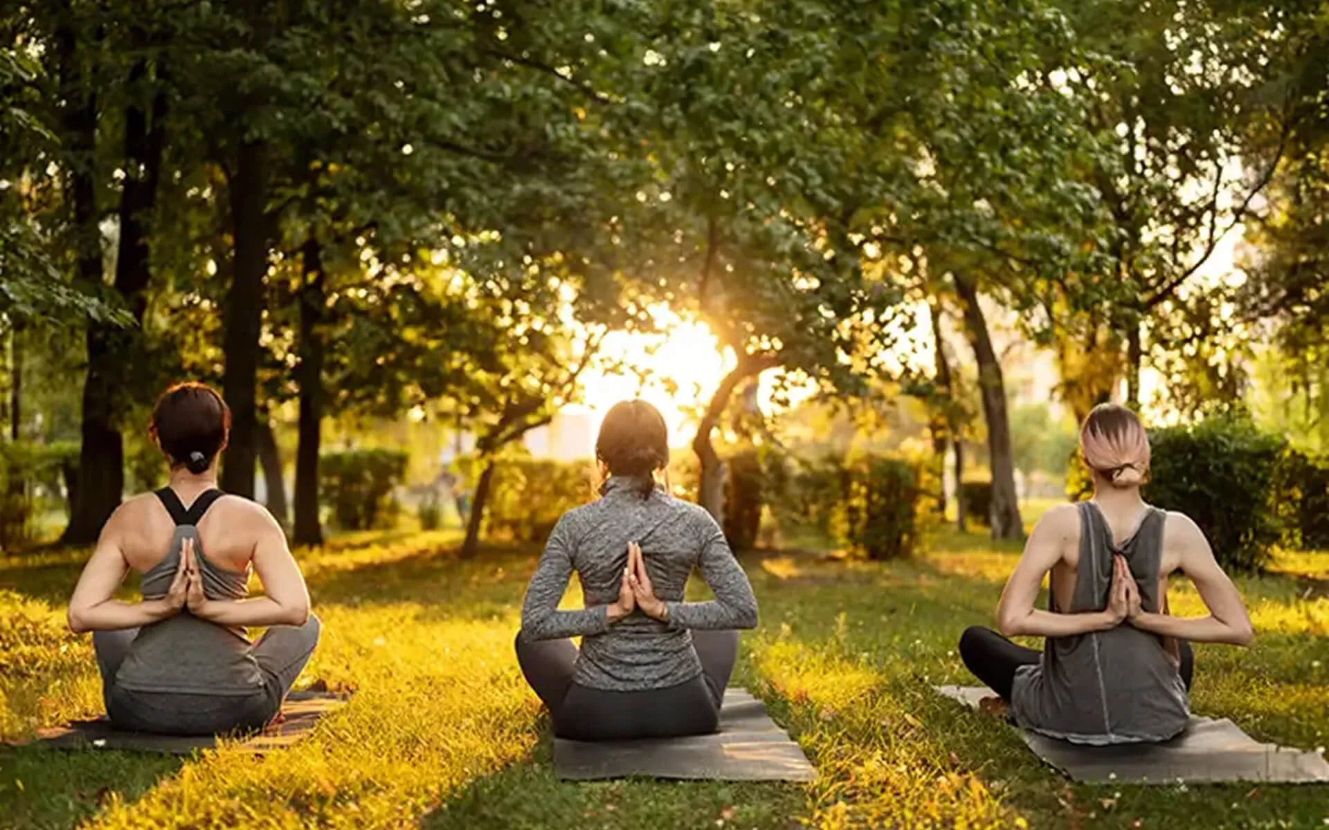 The yoga lawn overlooking the valley